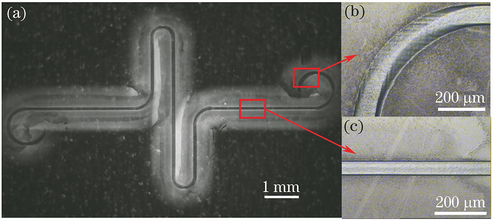 当激光能量密度为23.5 J·cm-2、扫描速率为6 mm·min-1时,无裂损石英玻璃表面微通道的光学显微镜照片。(a)整体结构;(b)圆弧段(激光重复频率50 Hz);(c)直线段(激光重复频率40 Hz)