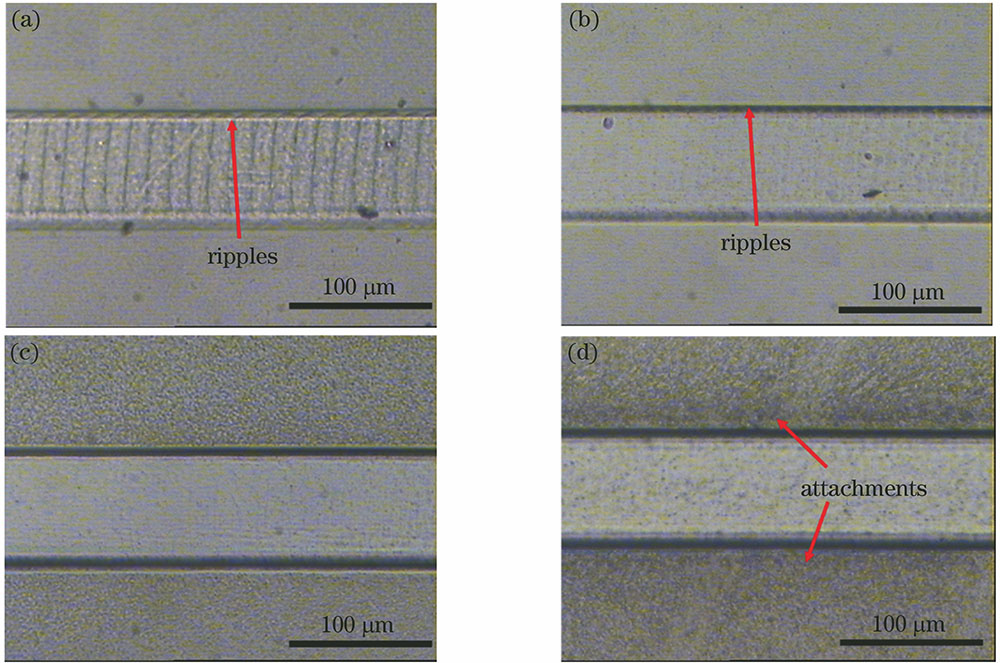 不同激光重复频率下石英玻璃微通道的形貌。(a) 6 Hz; (b) 10 Hz; (c) 20 Hz; (d) 50 Hz