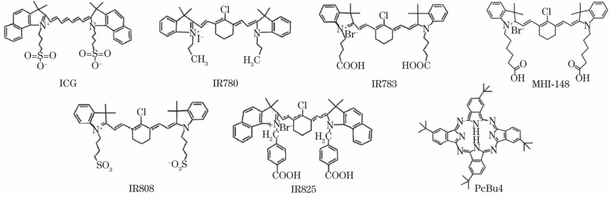 用于肿瘤光热治疗的有机纳米材料研究进展