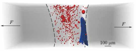 疲劳裂纹的扩展路径