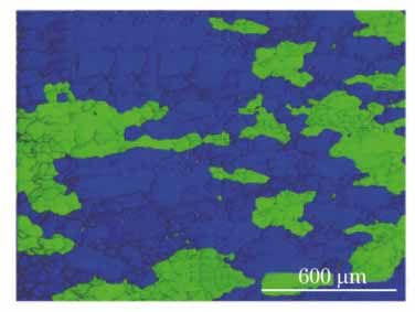 在ε·=0.001 s-1,T=900 ℃条件下变形后的试样EBSD测试结果