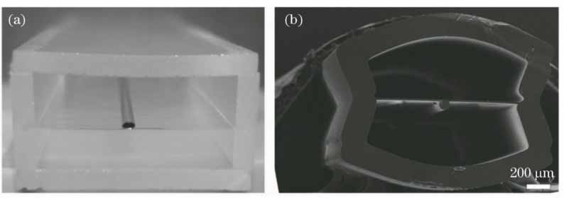 (a)采用堆积法制备的预制棒;(b)预制棒的扫描电镜(SEM)图