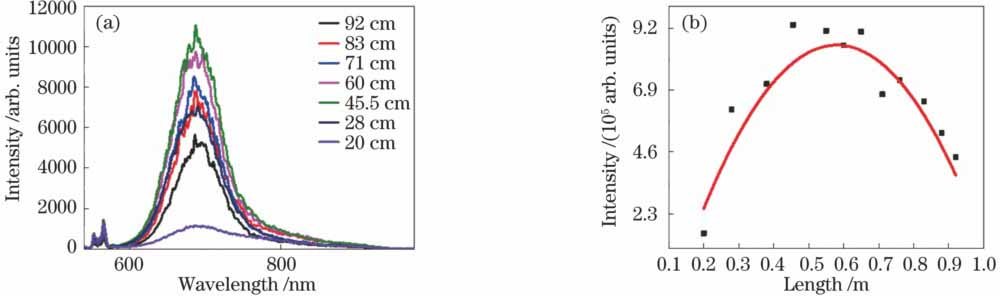 (a)不同长度光纤测得的量子点的荧光光谱;(b)荧光强度与光纤长度的拟合曲线