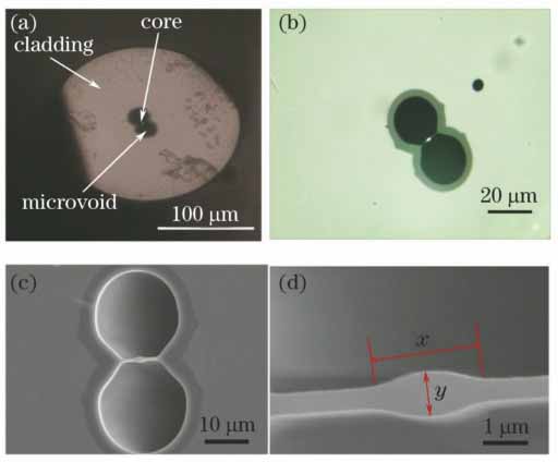 空气悬浮芯光纤横截面的形貌。(a)(b)光学显微镜图;(c)(d) SEM图