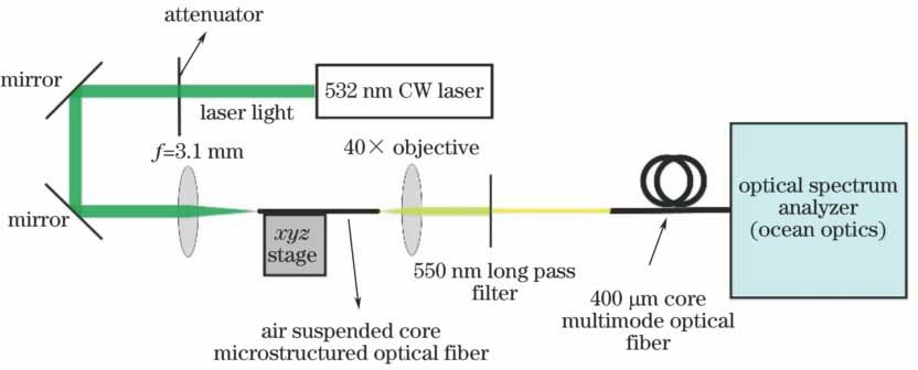 实验装置示意图