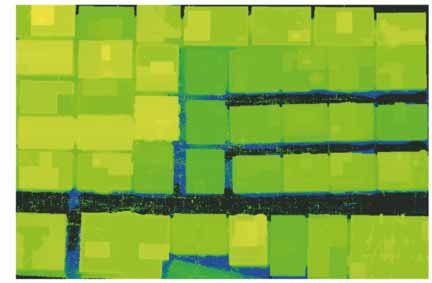 高程渲染下滤波后的原始点云