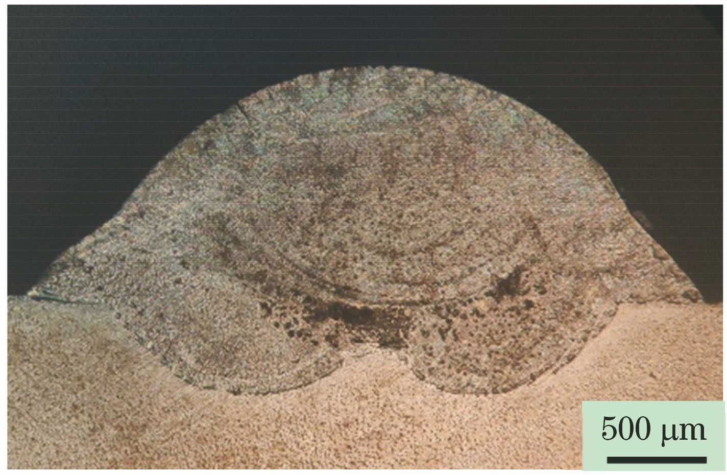 熔覆层的横断面形貌