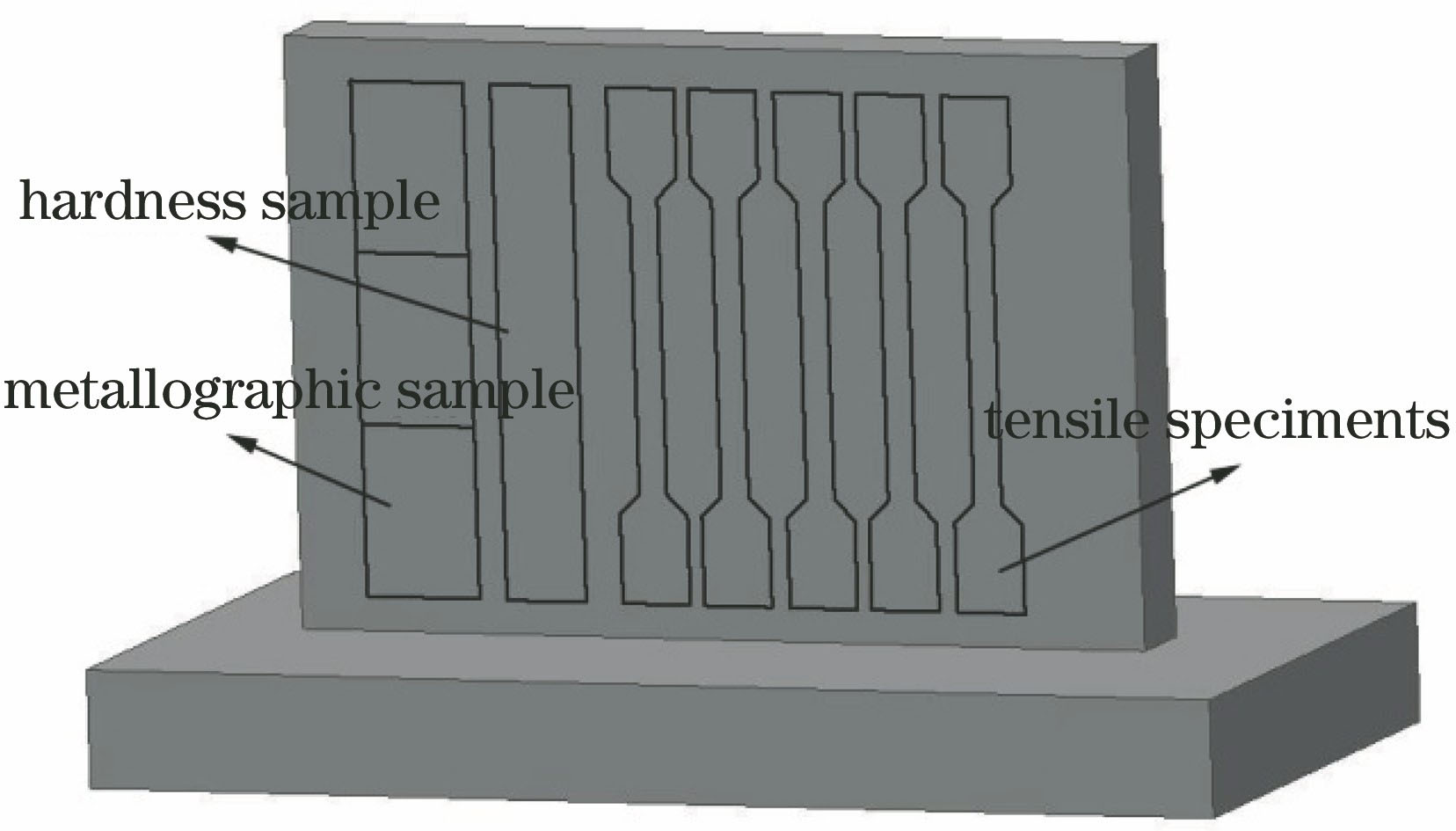 各样品的取样位置