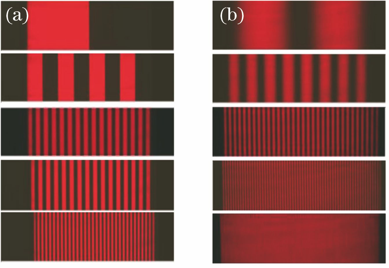 投射光栅类型。(a)方波;(b)正弦波