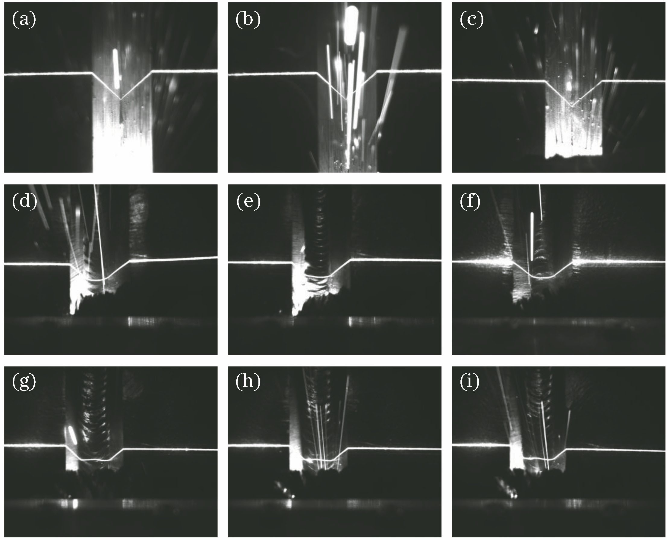 部分图像数据集