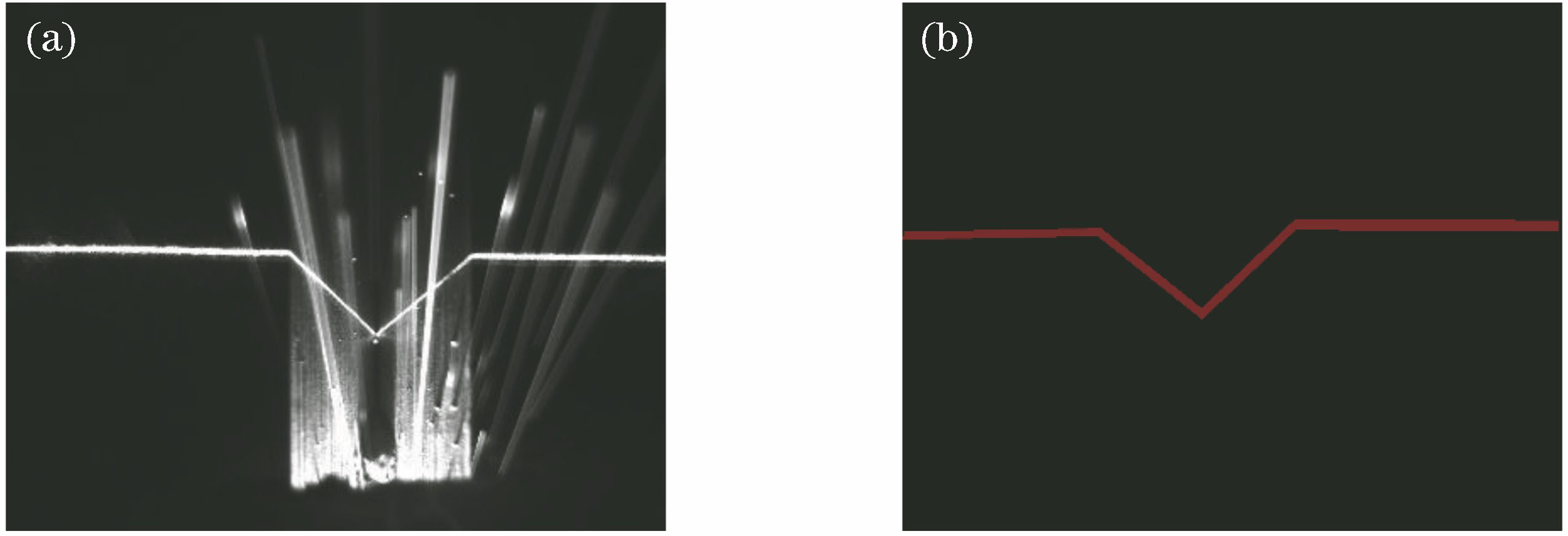 (a)原图及(b)对应的标注图