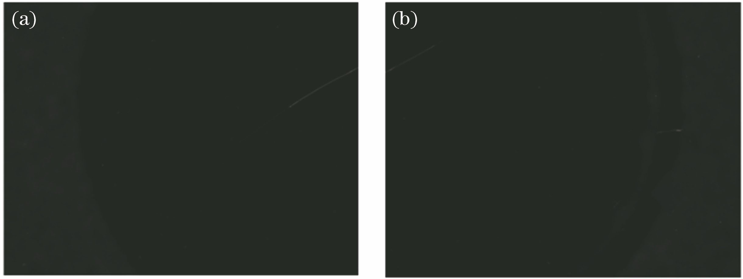 光学元件子孔径疵病图像。(a)图像1;(b)图像2