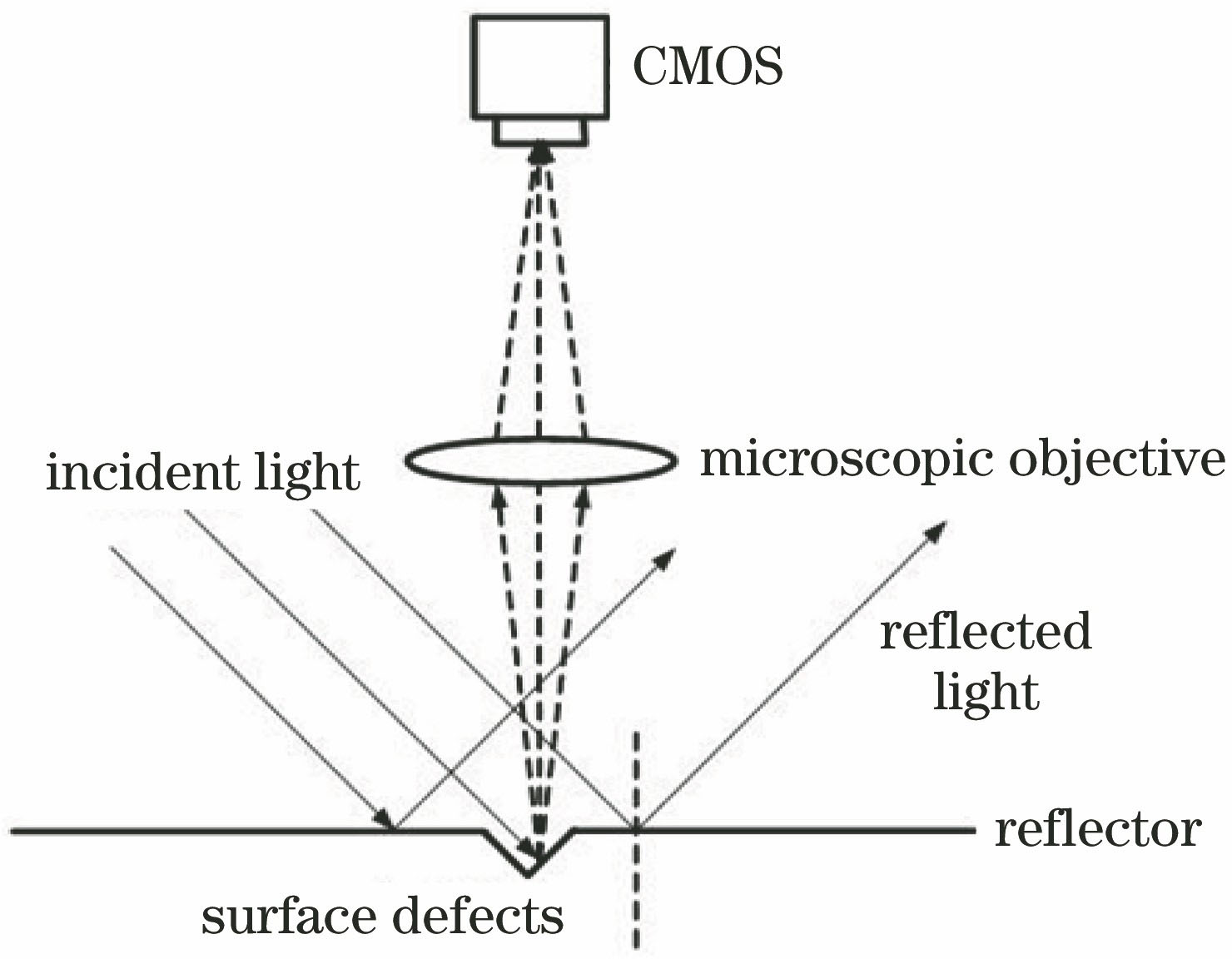 显微散射暗场成像原理图
