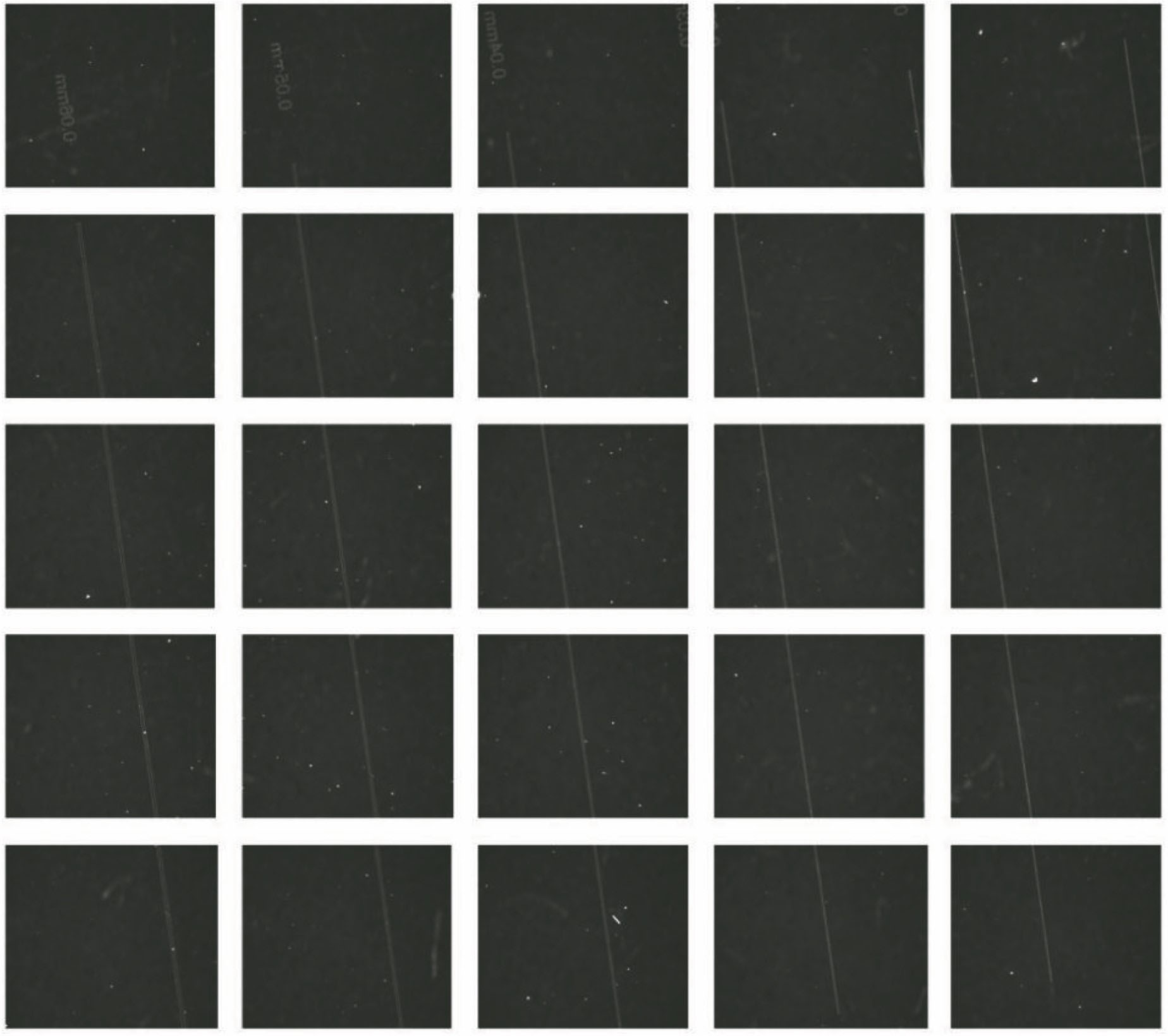 子孔径疵病图像