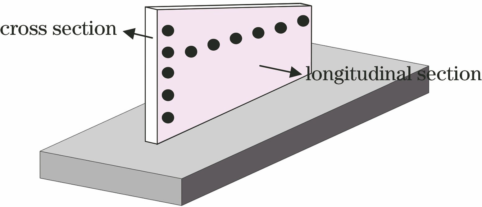 硬度测点位置示意图