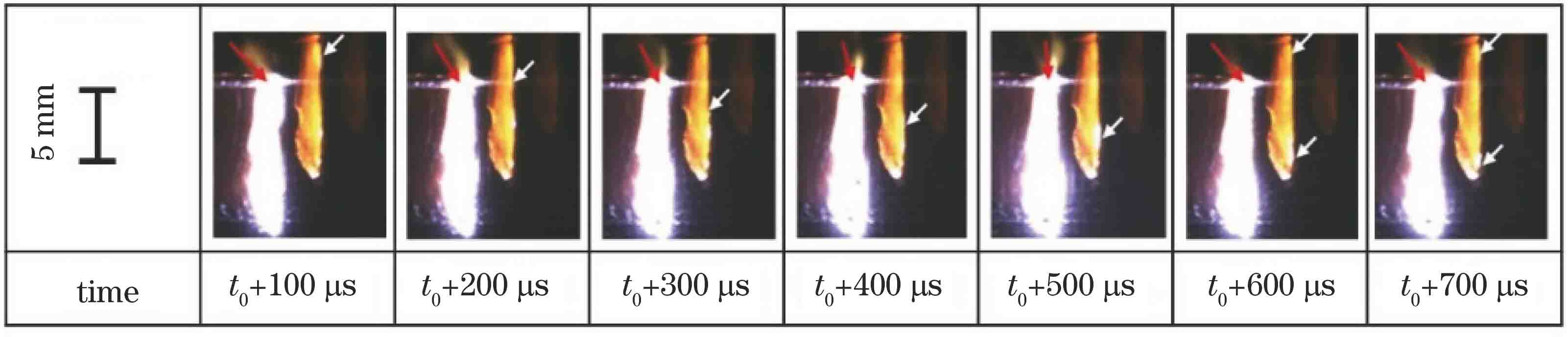 不同时刻下小孔和羽辉的形态