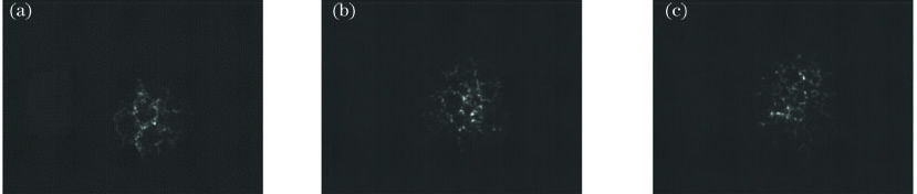 高速相机拍摄的短曝光光斑图像