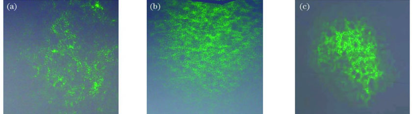 普通手机相机拍摄的长曝光光斑图像