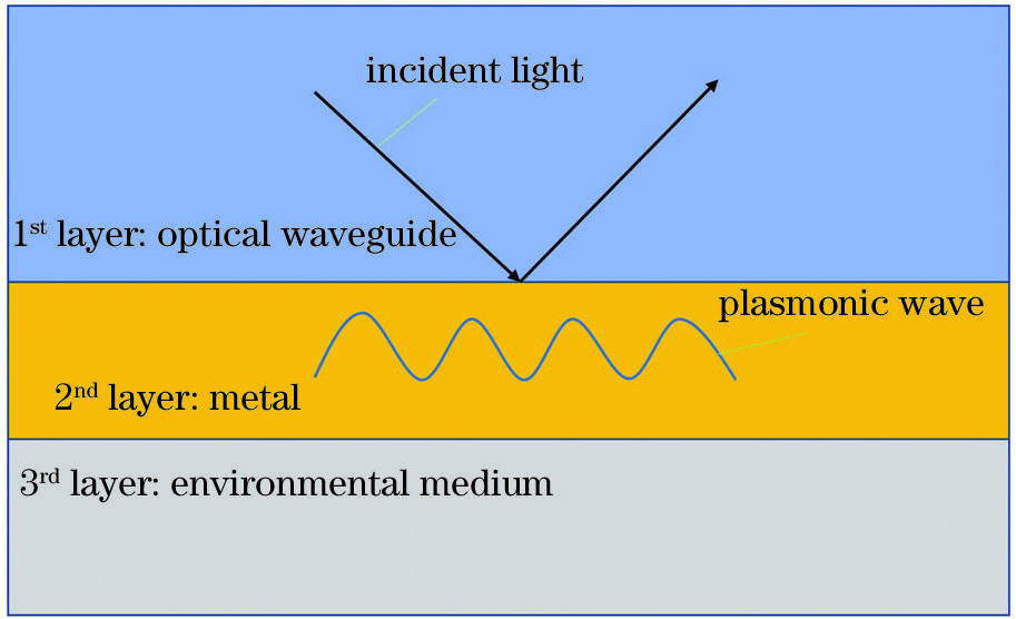 表面等离子共振原理图