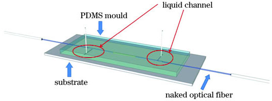微流控芯片结构图