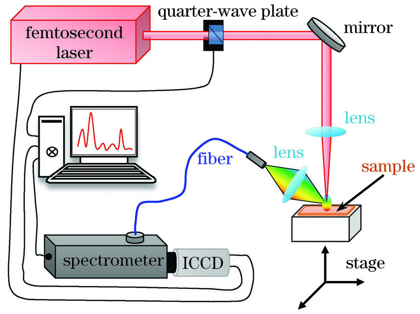 飞秒LIBS实验装置示意图