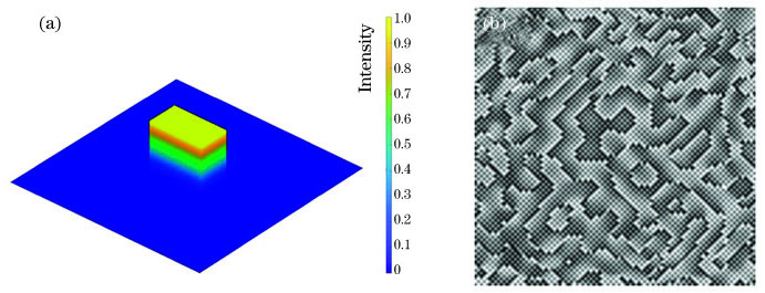 矩形平顶光的仿真示意图与灰度图。(a) 矩形光斑仿真示意图;(b)利用迭代算法得到的灰度图