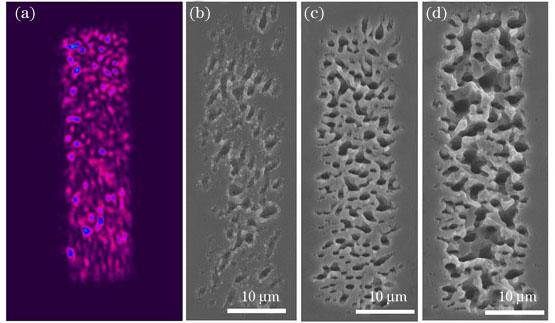 整形后的光斑表征及脉冲打点表征。(a)光束质量分析仪测得的矩形平顶光光斑分布; (b) 20个脉冲下的高温合金表面加工形貌;(c) 100个脉冲下的高温合金表面加工形貌;(d) 500个脉冲下的高温合金表面加工形貌