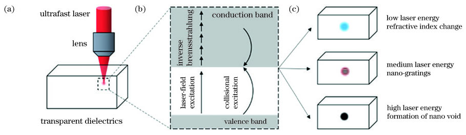 超快激光与透明介质材料作用过程。(a)超快激光辐照透明介质内部的示意图;(b)透明介质材料中的电子电离过程;(c)不同通量的超快激光在透明介质中引起结构变化