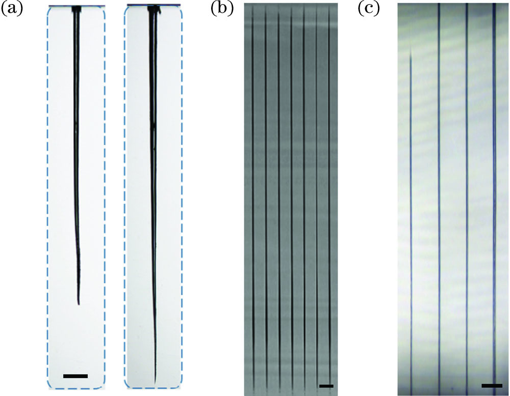 本课题组使用超快激光加工的微孔与微通道。(a)双脉冲飞秒激光增加微孔烧蚀深度(标尺为100μm);(b)贝塞尔单脉冲加工的微通道,图中标尺为10μm;(c)硼硅玻璃中激光诱导背向湿法刻蚀得到的微通道,图中标尺为40μm