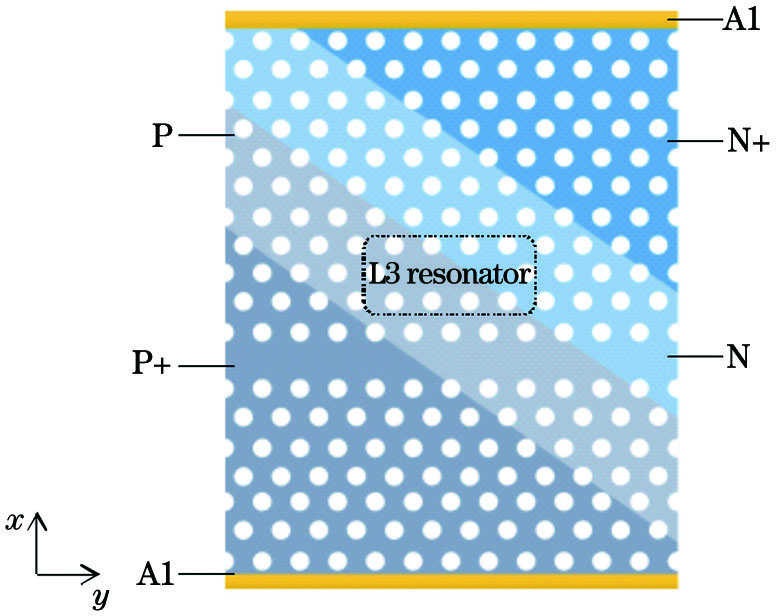 电光调制器掺杂结构示意图