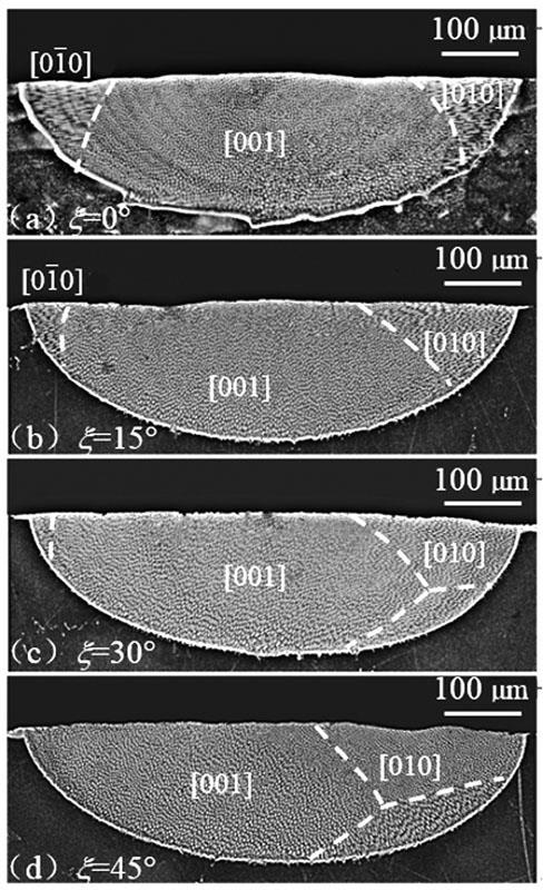扫描速度5 mm/s时得到的激光熔凝熔池结果。(a) ξ=0°;(b) ξ=15°;(c) ξ=30°;(d) ξ=45°