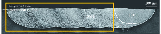 ξ=45°时熔凝样品的截面图