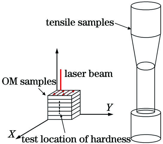 热处理对激光选区熔化成形TC11钛合金组织性能的影响