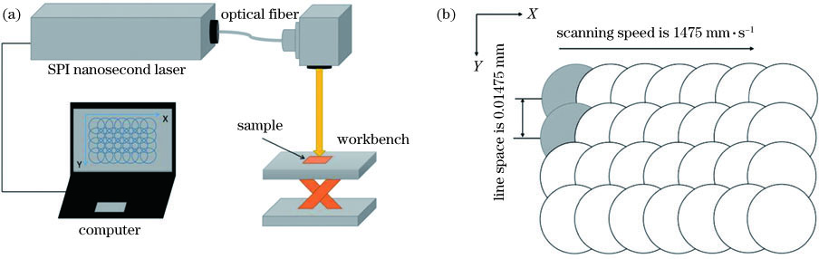 纳秒激光刻蚀硅橡胶表面加工系统。(a)激光加工系统;(b)激光扫描方式