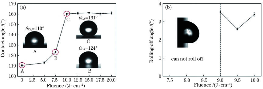 不同激光能量密度处理后的硅橡胶表面的接触角和滚动角。(a)接触角;(b)滚动角