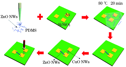 干法转移方法制备的Au电极-纳米线异质结构