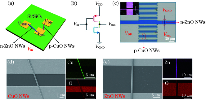 基于p-CuO/n-ZnO纳米线的半导体倒相器。(a)倒相器结构示意图;(b)电路原理图;(c) OM图像;(d) p-CuO纳米线FET的SEM图像及EDS表征;(e) n-ZnO纳米线FET的SEM图像及EDS表征