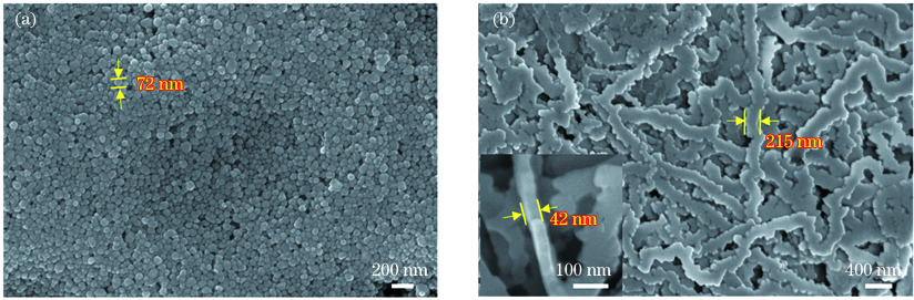 合成纳米材料表面形貌。(a)银纳米颗粒;(b)银纳米带