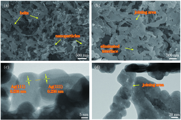 银纳米颗粒的自连接。(a)连接初期连接界面的SEM照片;(b)连接后期连接界面的SEM形貌图;(c)纳米片沿(111)晶面定向连接界面的TEM照片;(d)纳米带间的连接界面的TEM照片