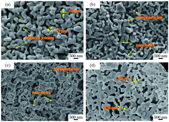 激光烧结后各电极微观扫描电镜形貌。(a) AgNB-0; (b) AgNB-10; (c) AgNB-20; (d) AgNB-30