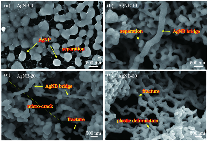 经3000次弯折后各电极微观形貌。(a) AgNB-0; (b) AgNB-10; (c) AgNB-20; (d) AgNB-30