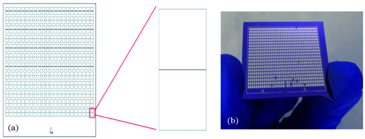 光刻工艺制备的电极。(a)电极图案;(b)电极矩阵的实物图
