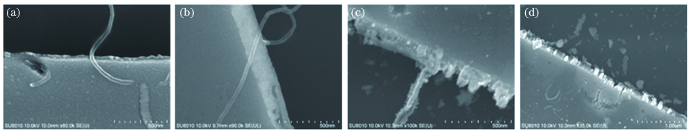 不同辐照时长下MWCNTs-Ni电极的SEM图像。(a) 30 s;(b) 60 s;(c) 61 s;(d) 65 s