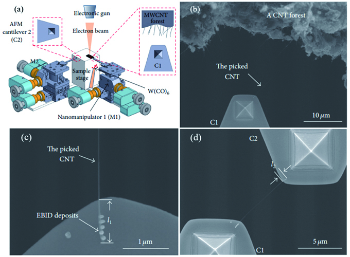 CNT与金属电极连接的原理图及SEM图。(a)用于表征CNT和金属电极在FE-SEM仪器内的侧面接触的机器人系统的原理图;(b)利用AFM探针对CNT进行选择与拾取;(c)被拾取的CNT及利用EBID将CNT焊接到C1上的放大图(AFM);(d)利用EBID将CNT连接到C2(Au)上