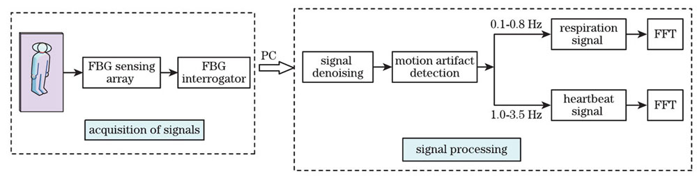基于光纤传感的呼吸与心跳信号采集方法