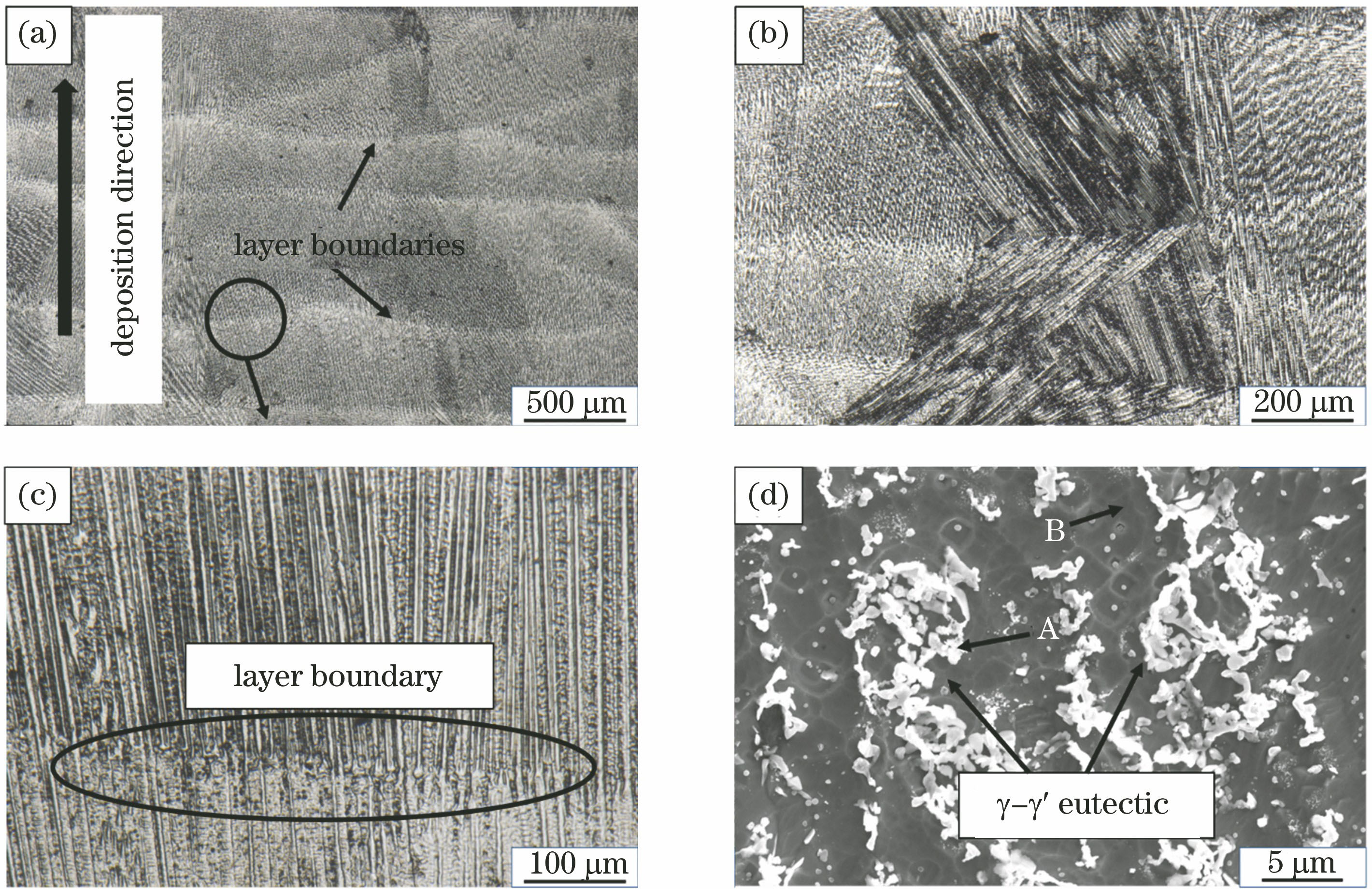 eutectic point,inflectionpoint of layer boundaries; (d) sem image of γ-γ" eutectic phase