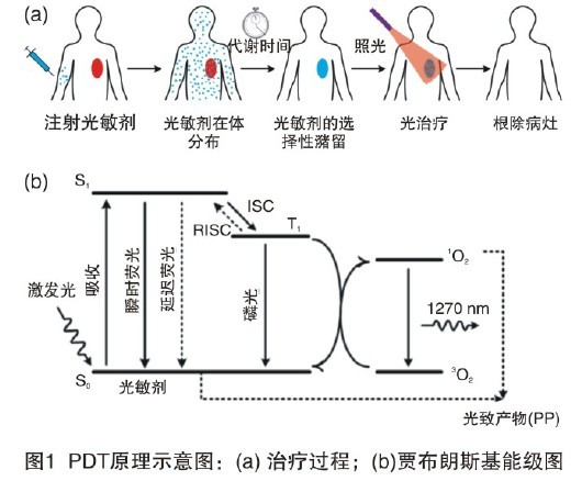 光动力学疗法的现状与未来