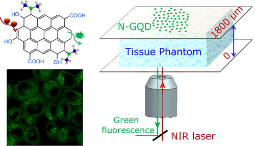 纳米中心合成氮掺杂石墨烯量子点 -- 正文内容