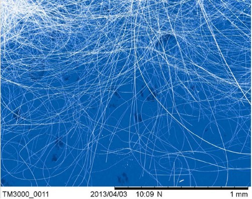 强磁场科学中心在应用型超导材料研究中取得进