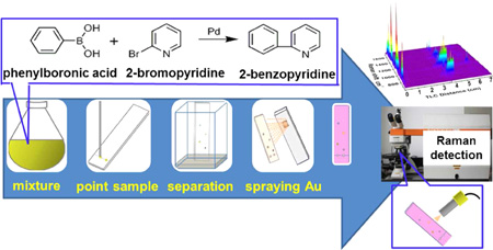生态中心在拉曼现场分析方法研究中取得进展 